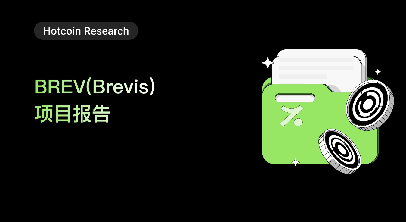 BREV（Brevis）项目报告
