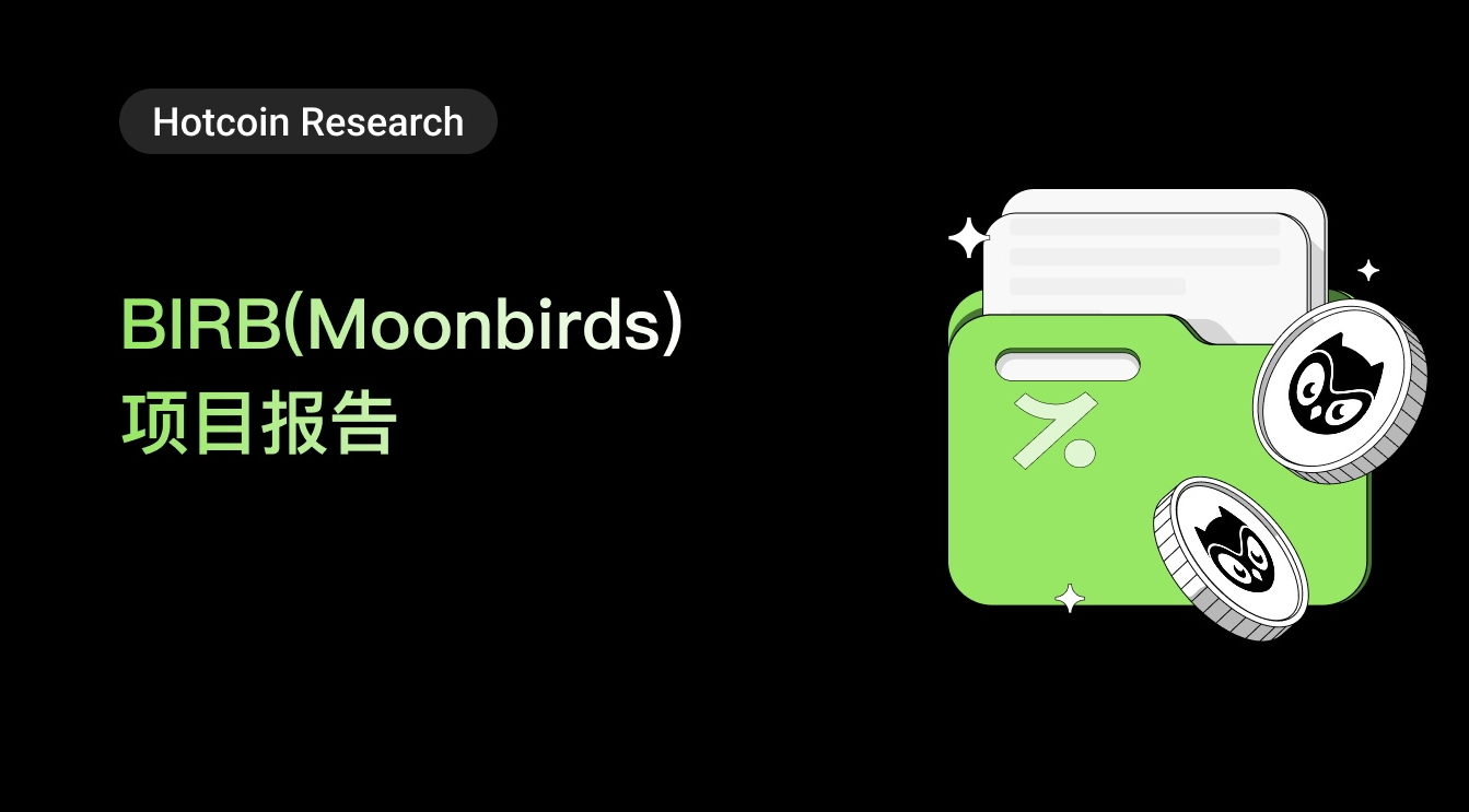 BIRB（Moonbirds）项目报告