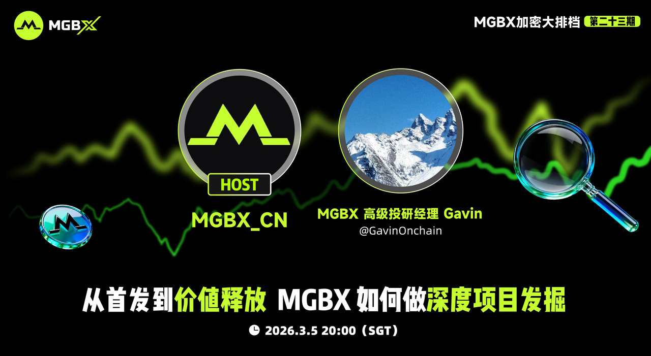 From Launch to Value Release: How MGBX Conducts In-Depth Project Exploration