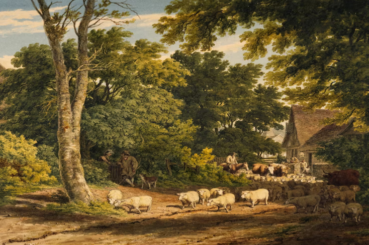 构建自己在AI时代的竞争力