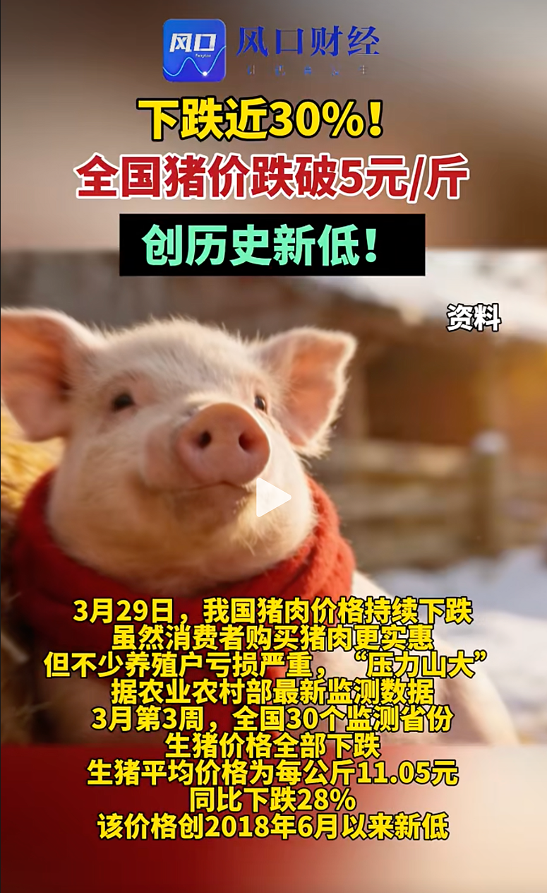 猪肉、房子与比特币奇幻联动，我又抄底了_aicoin_图1