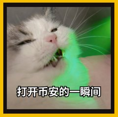 空投“双吃”复盘！今日传言再起：Alpha 连招回血，保住分就是保住“命”！_aicoin_图2