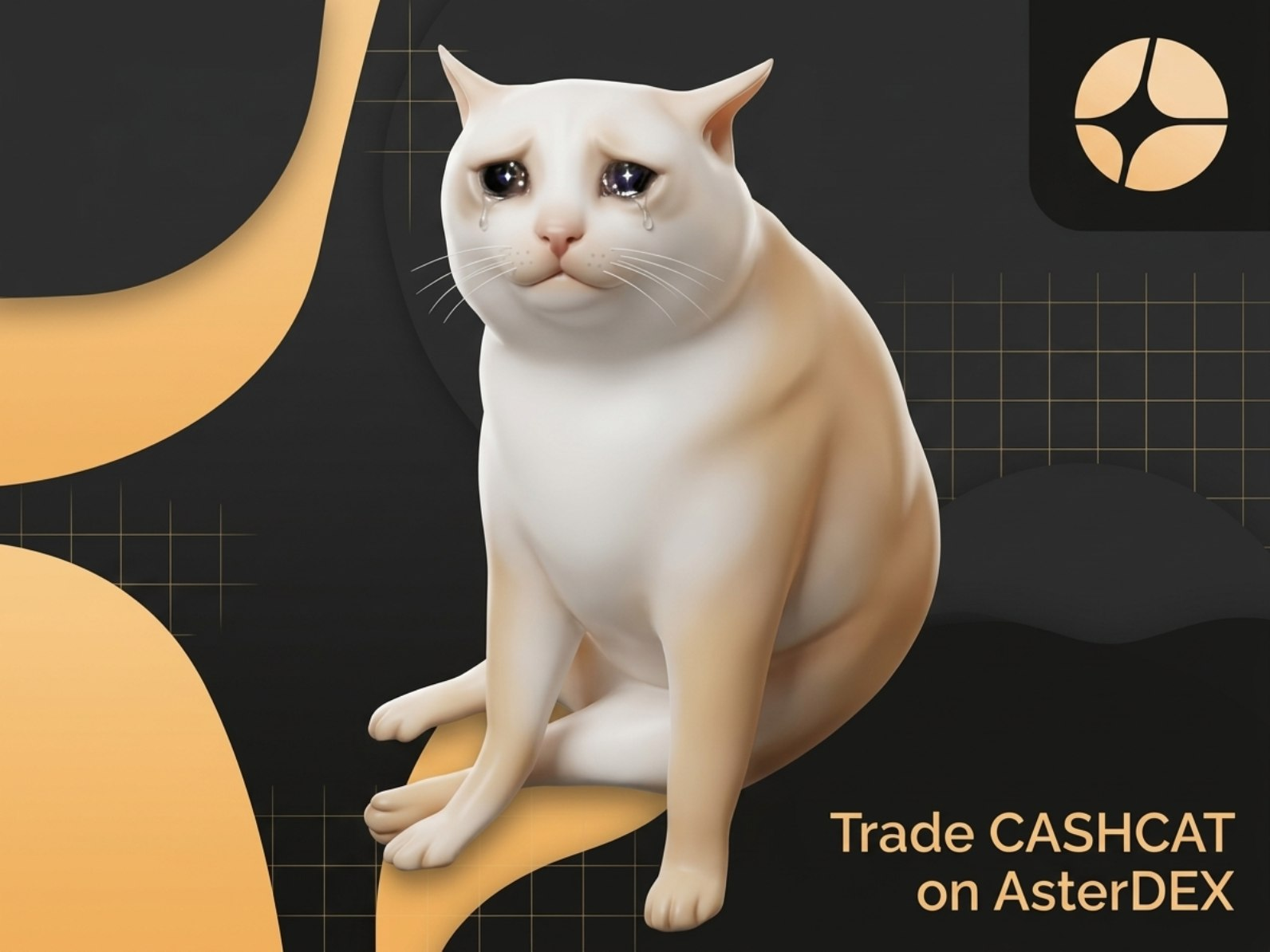 市值狂飙突破1亿美金！Robinhood新L2公链引爆“现金猫”狂潮，$CASHCAT 永续上线 Aster 战壕，揭秘 NOXA 新链黄金狙击法则_aicoin_图2