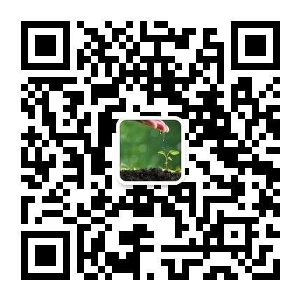 178997846827714.jpg
